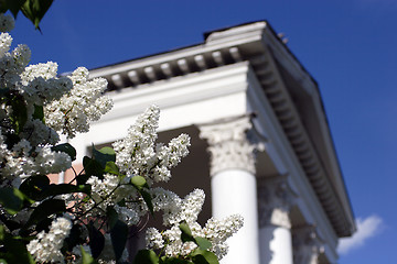 Image showing Flowers, Blanching Lilac