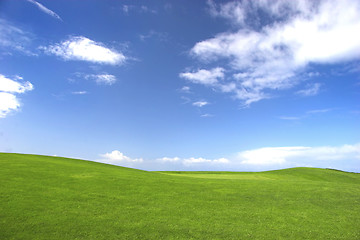Image showing Green field