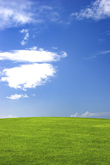 Image showing Green field