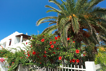 Image showing Panarea 