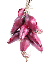 Image showing Bunch of red onions