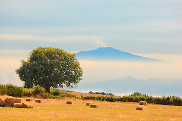 Image showing View on Etna from Aspromonte field