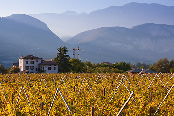 Image showing Autumn in mountains