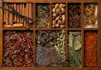 Image showing Spices in Wooden Box