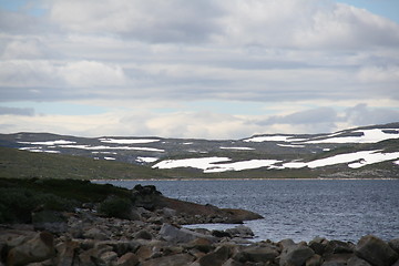 Image showing Hardangervidden