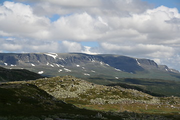 Image showing Hardangervidden