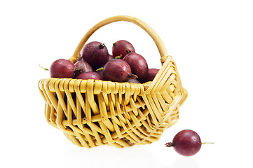 Image showing Basket with berries of a red gooseberry, a white background
