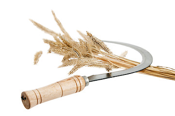 Image showing Sickle and rye ears, it is isolated on white