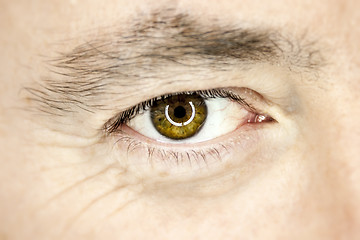 Image showing male eye