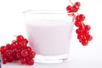 Image showing fresh tasty currant yoghurt shake dessert isolated