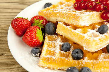 Image showing fresh tasty waffer with powder sugar and mixed fruits