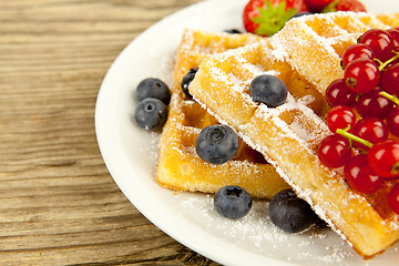 Image showing fresh tasty waffer with powder sugar and mixed fruits