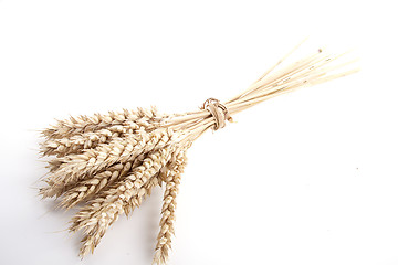 Image showing close up brown wheat grain isolated on white