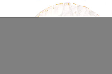 Image showing Camembert isolated