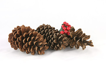 Image showing Pine cone Christmas