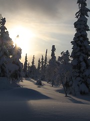 Image showing Winter Landscape