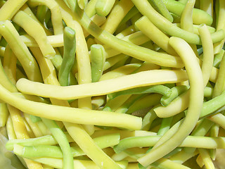 Image showing Common bean