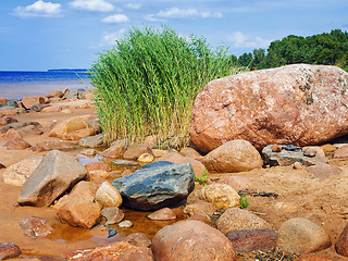 Image showing Sea rocky beach