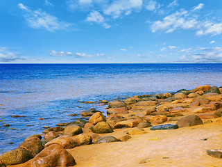 Image showing Sea rocky beach