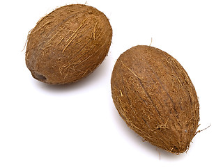 Image showing coconut 