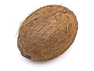 Image showing coconut 