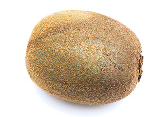 Image showing kiwi