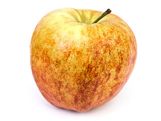 Image showing apple