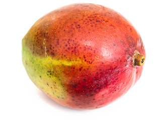 Image showing mango