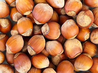 Image showing hazelnut background