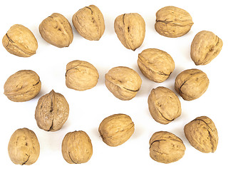 Image showing walnut