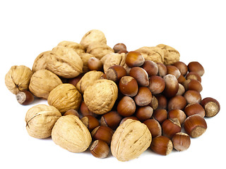 Image showing hazelnuts and walnuts