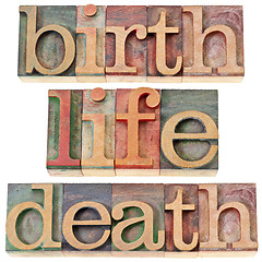 Image showing birth, life, and death words
