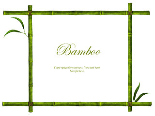 Image showing bamboo frame