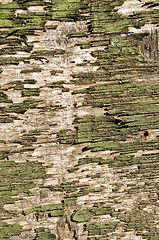 Image showing Backdrop retro wooden peeling paint wall closeup 