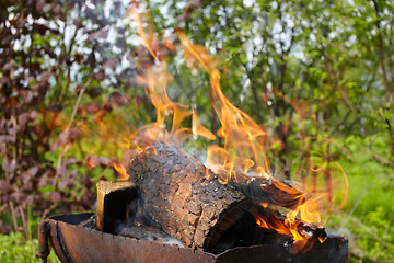 Image showing Fire flame