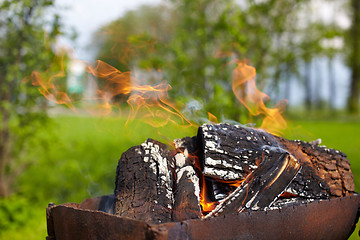 Image showing Fire flame