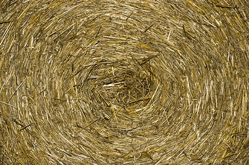 Image showing straw background