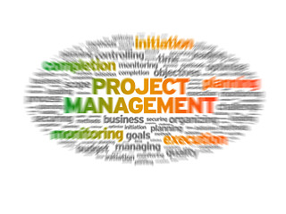 Image showing Project Management