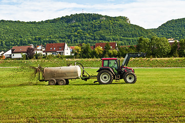 Image showing dung