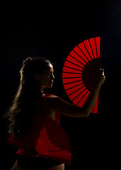 Image showing Flamenco beauty