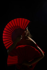 Image showing Mysterious flamenco