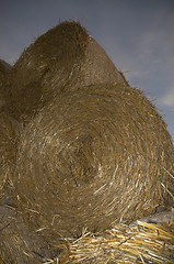 Image showing Hay Rolls