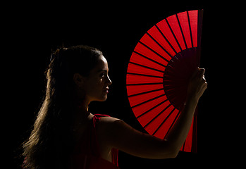 Image showing Flamenco artist