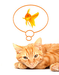 Image showing Cat playing with goldfishes isolated on white background