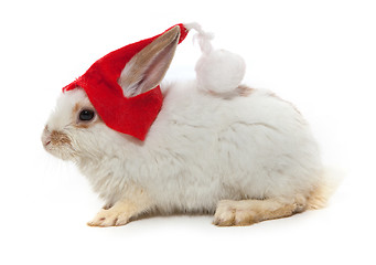 Image showing Rabbit and red hat