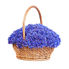 Image showing Beautiful blue cornflowers in a basket