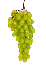 Image showing Bunch of Green Grapes laying isolated