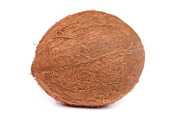 Image showing Coconut on a white background