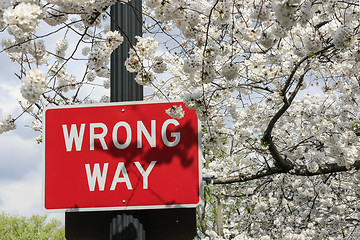 Image showing Traffic sign