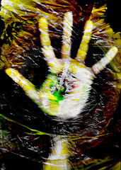 Image showing hand in plastic bag